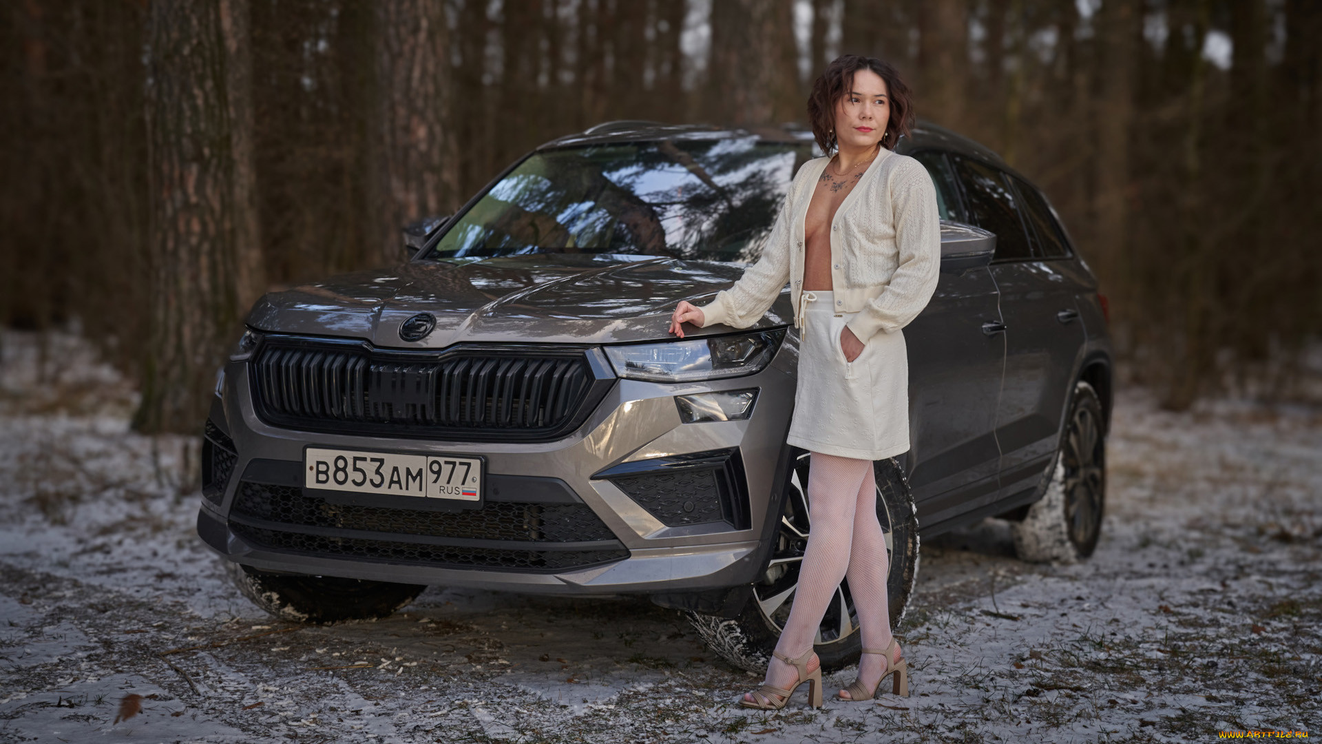 ����������, -���� � ���������, skoda, kodiaq